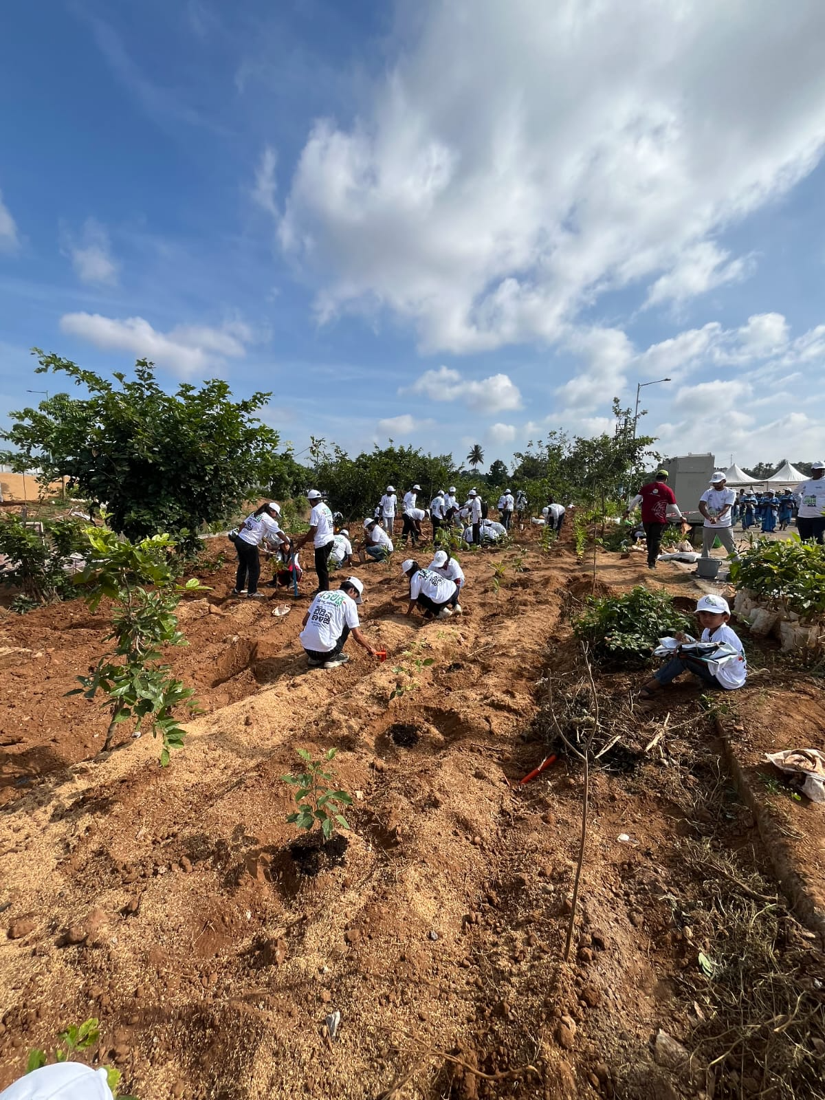 Community sapling plantation drive